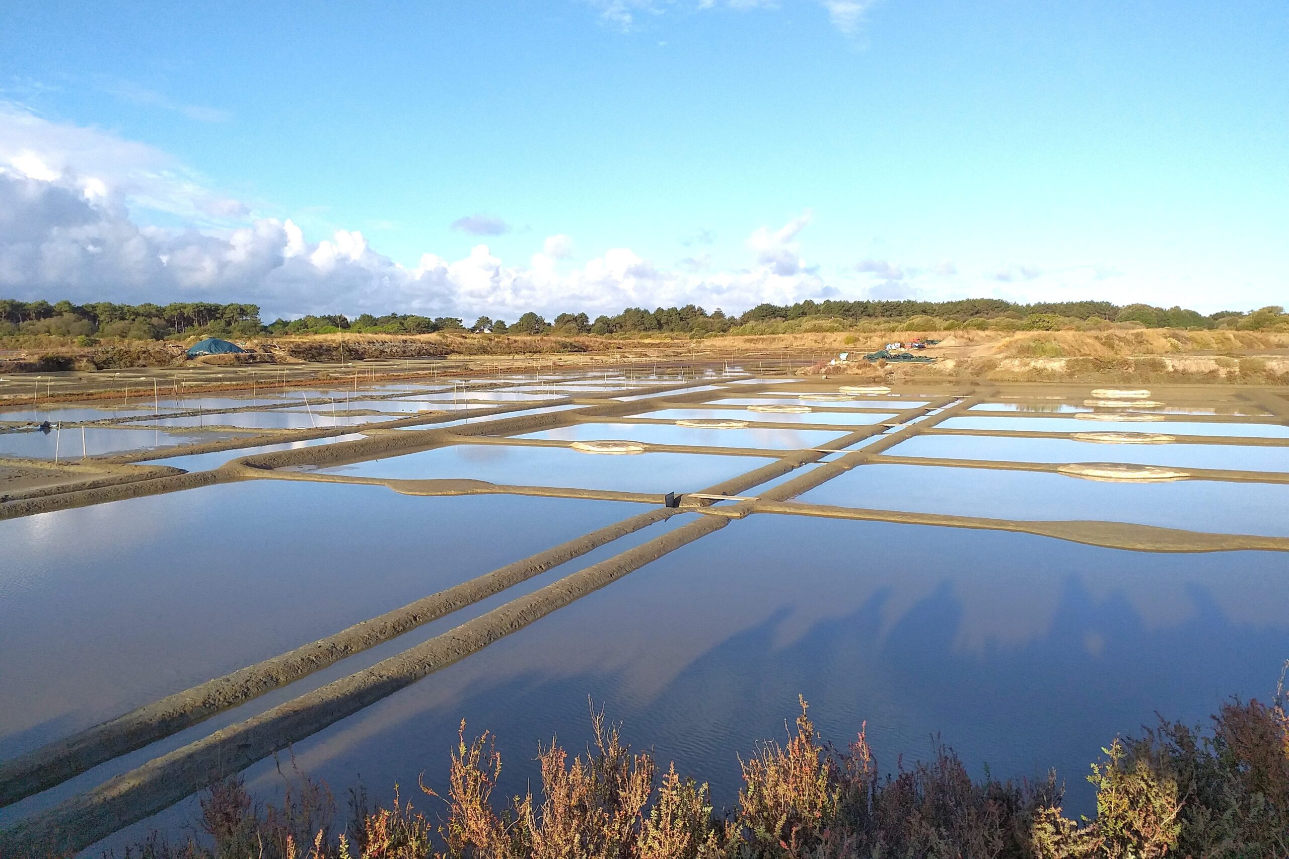 Marais salants de Guérande. Panorama des marais salants de Guérande.